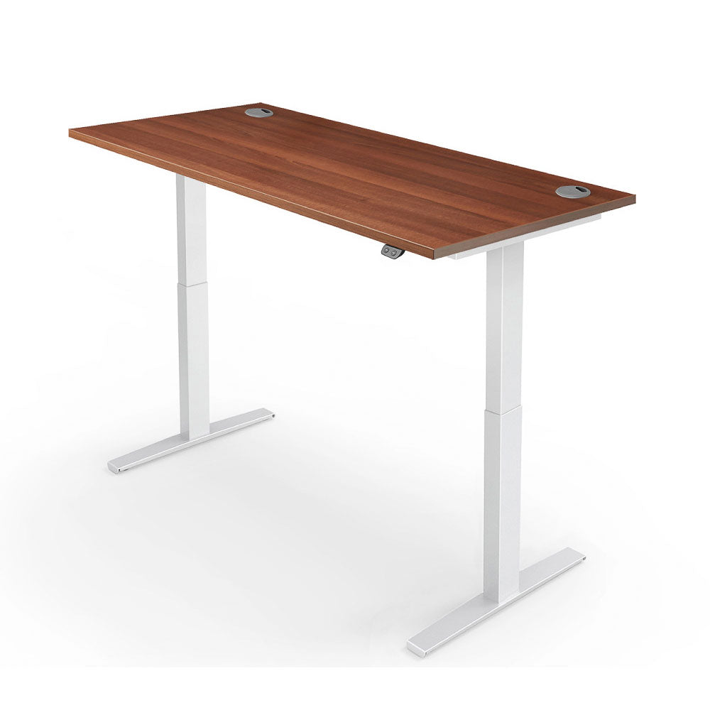 Yo-Yo DESK PRO 2 Dual Motor Electric Height Adjustable Standing Desk