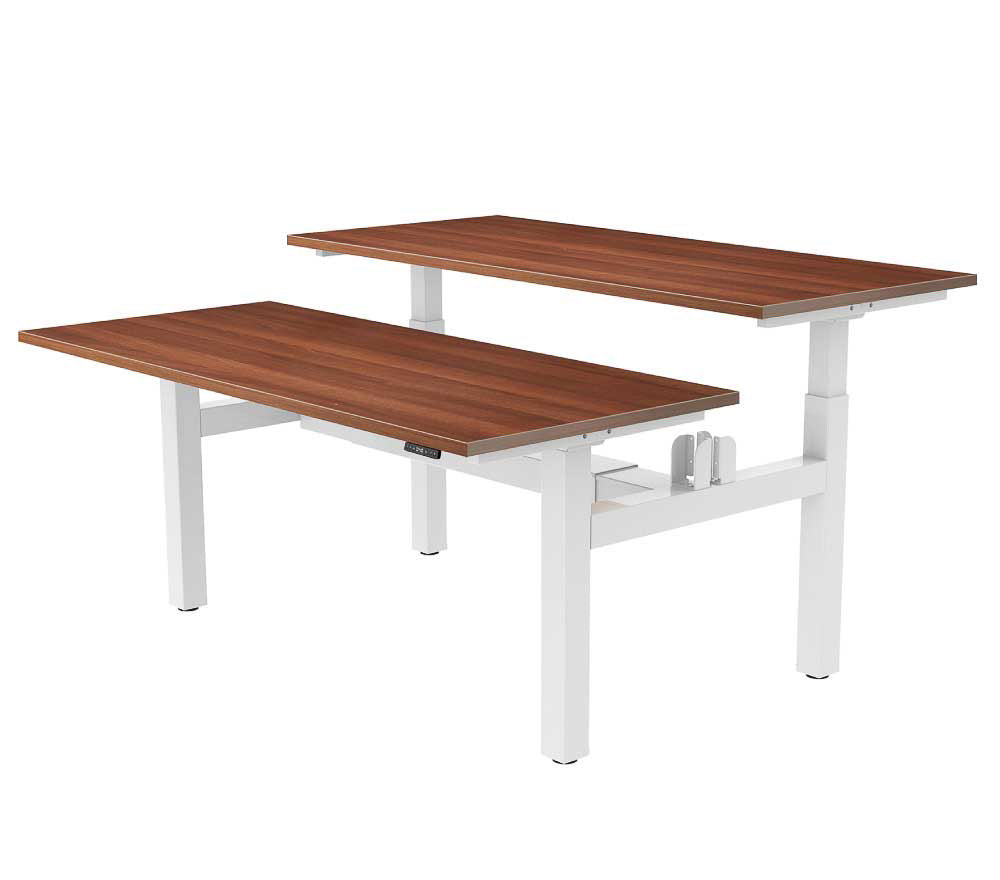 Yo-Yo DESK DUO Back-2-Back Height Adjustable Standing Desk