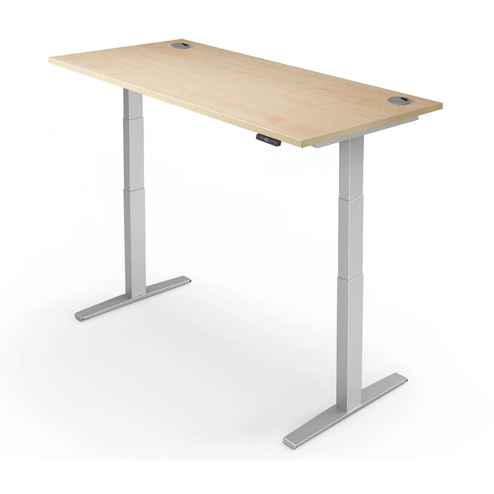 Yo-Yo DESK PRO 2+ Dual Motor Electric Adjustable Standing Desk