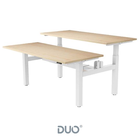 Yo-Yo DESK DUO Back-2-Back Height Adjustable Standing Desk